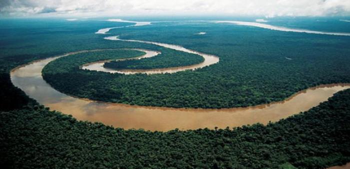 Amazônia: Entre o discurso do clima e a Geopolítica do petróleo 
