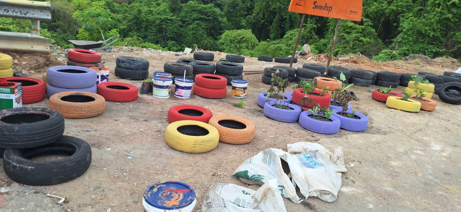 Prefeitura ressalta importância do descarte correto do lixo e combate lixeira irregular