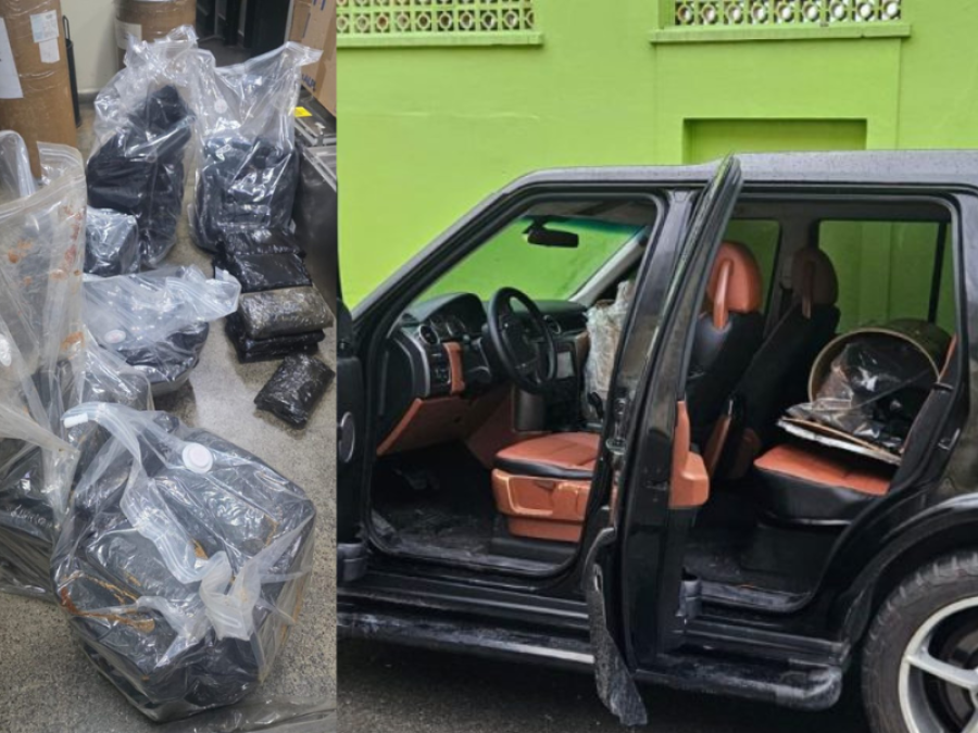 PC-AM apreende maconha do tipo skunk avaliada em R$ 3 milhões no bairro São Raimundo