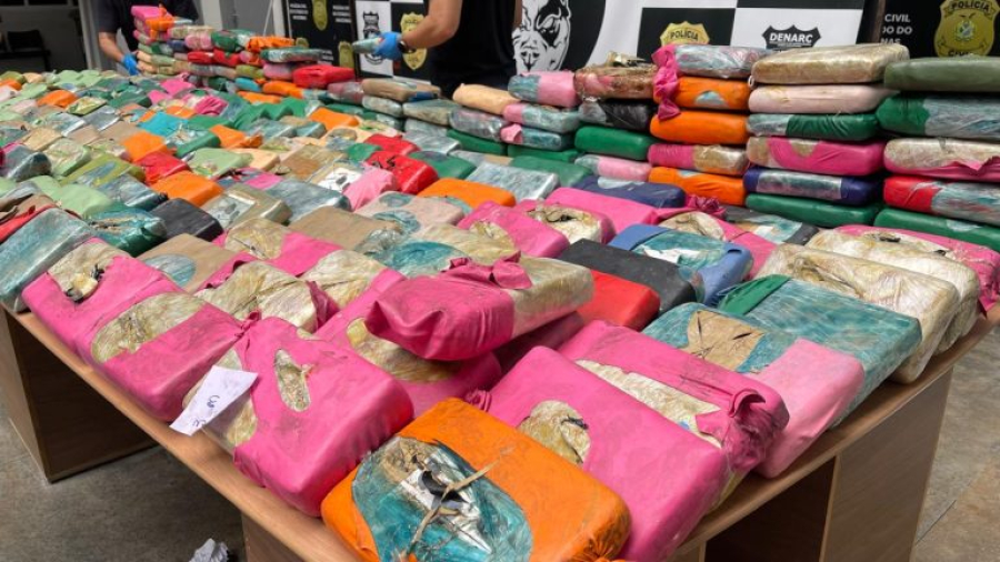 Denarc apreende aproximadamente 700 quilos de drogas no Amazonas avaliadas em 12,8 milhões