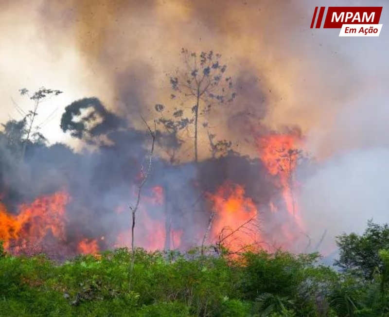 MPAM cobra do IPAAM dados dos responsáveis por queimadas ilegais no Amazonas